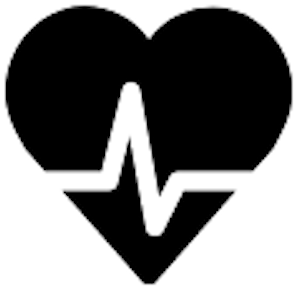 Vascular Risk Factors Icon